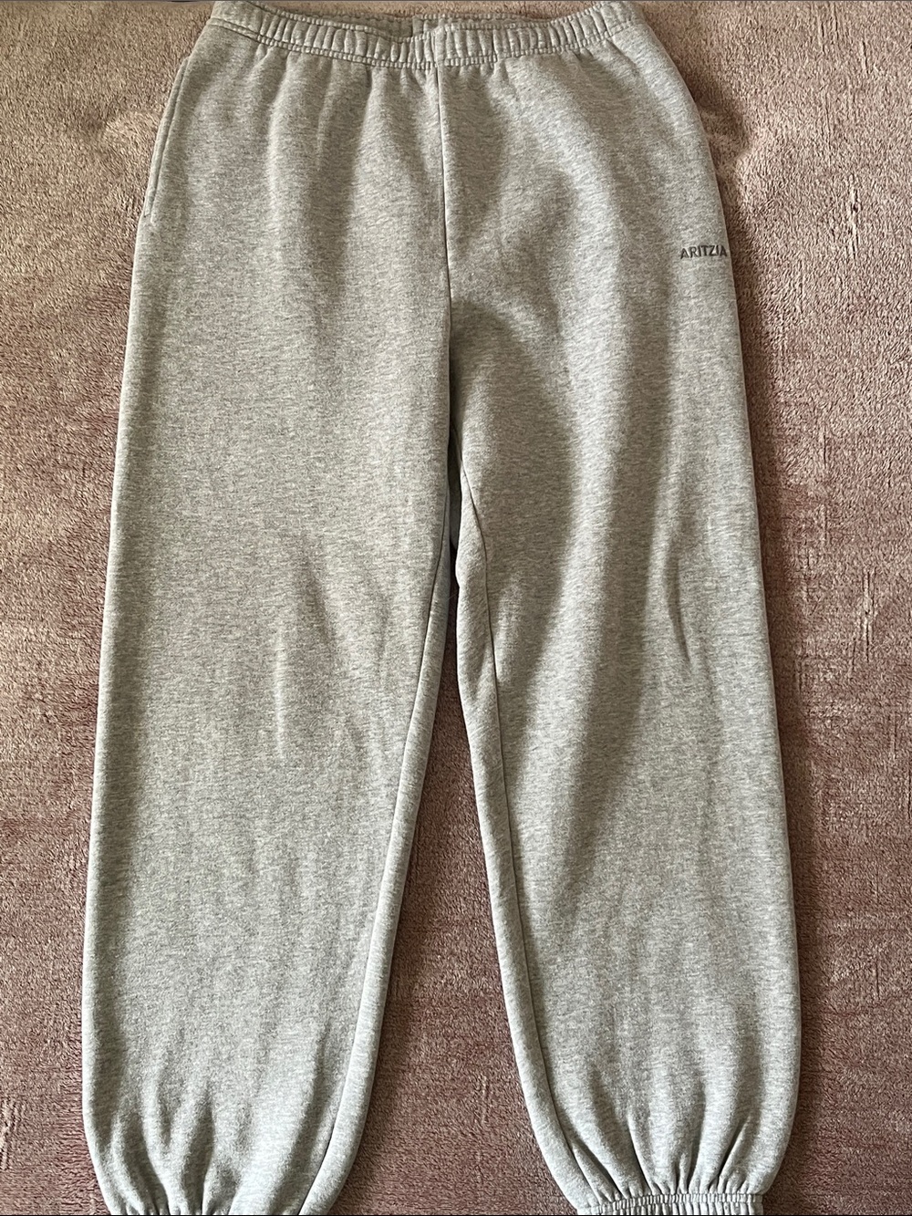 Aritzia Women's Gray Fleece Jogger